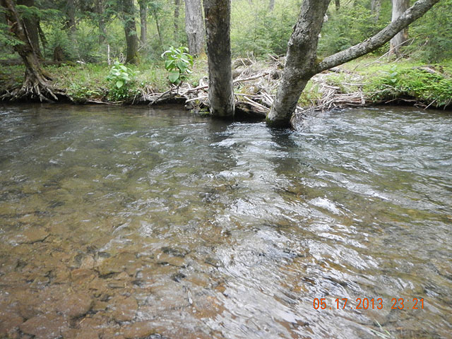 camp 05-17-13 016.jpg -                                